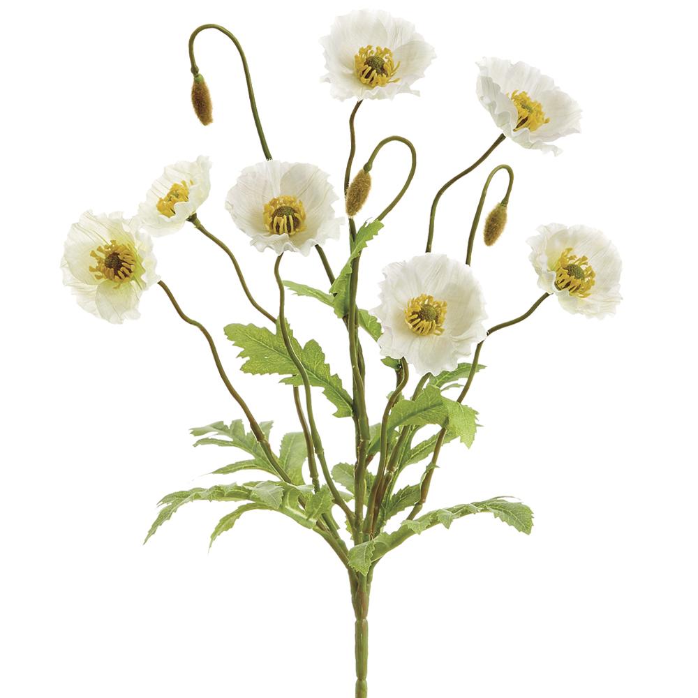 Poppy Bush | 15"