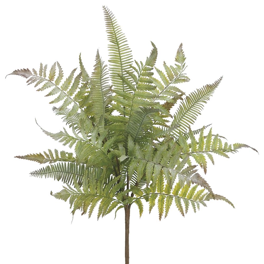 Mixed Fern Bush | 18"
