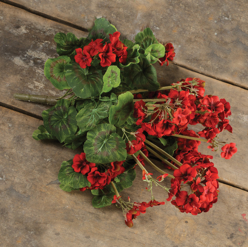 Red Geranium Bush | 19.5"