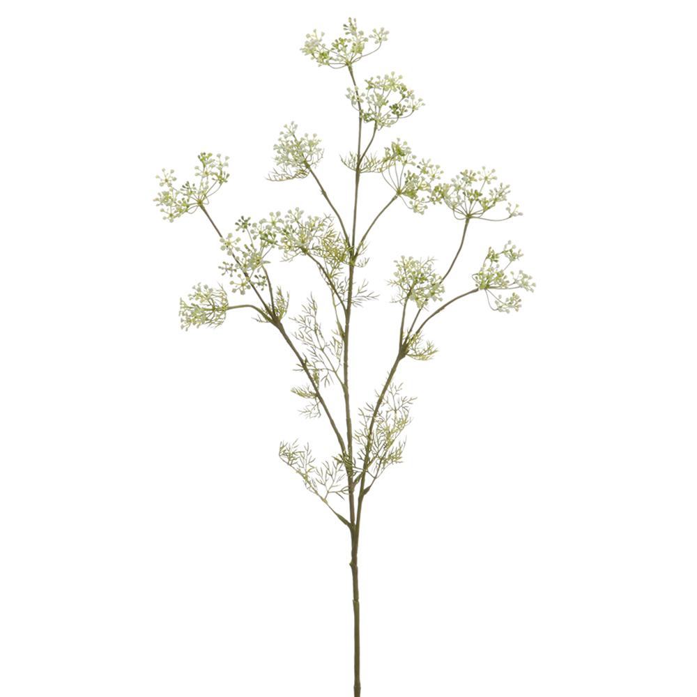 Dill Spray | 32"