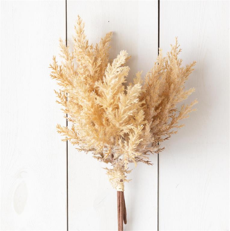 Beige Plumes -Bunch | 13"