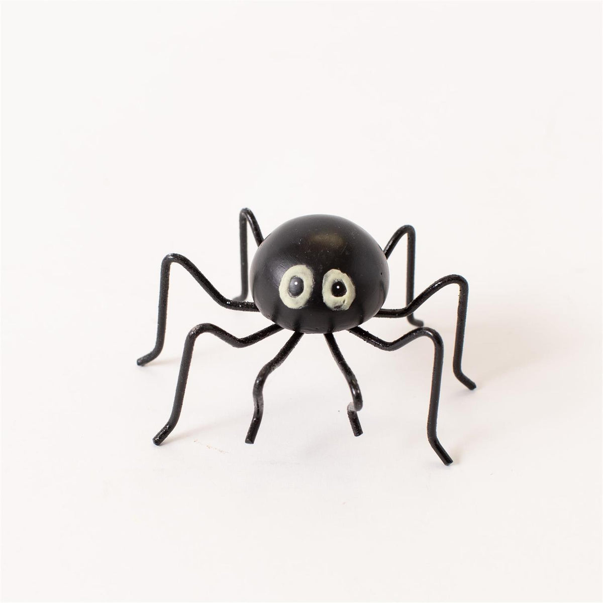 Night Glow Eyed Spider