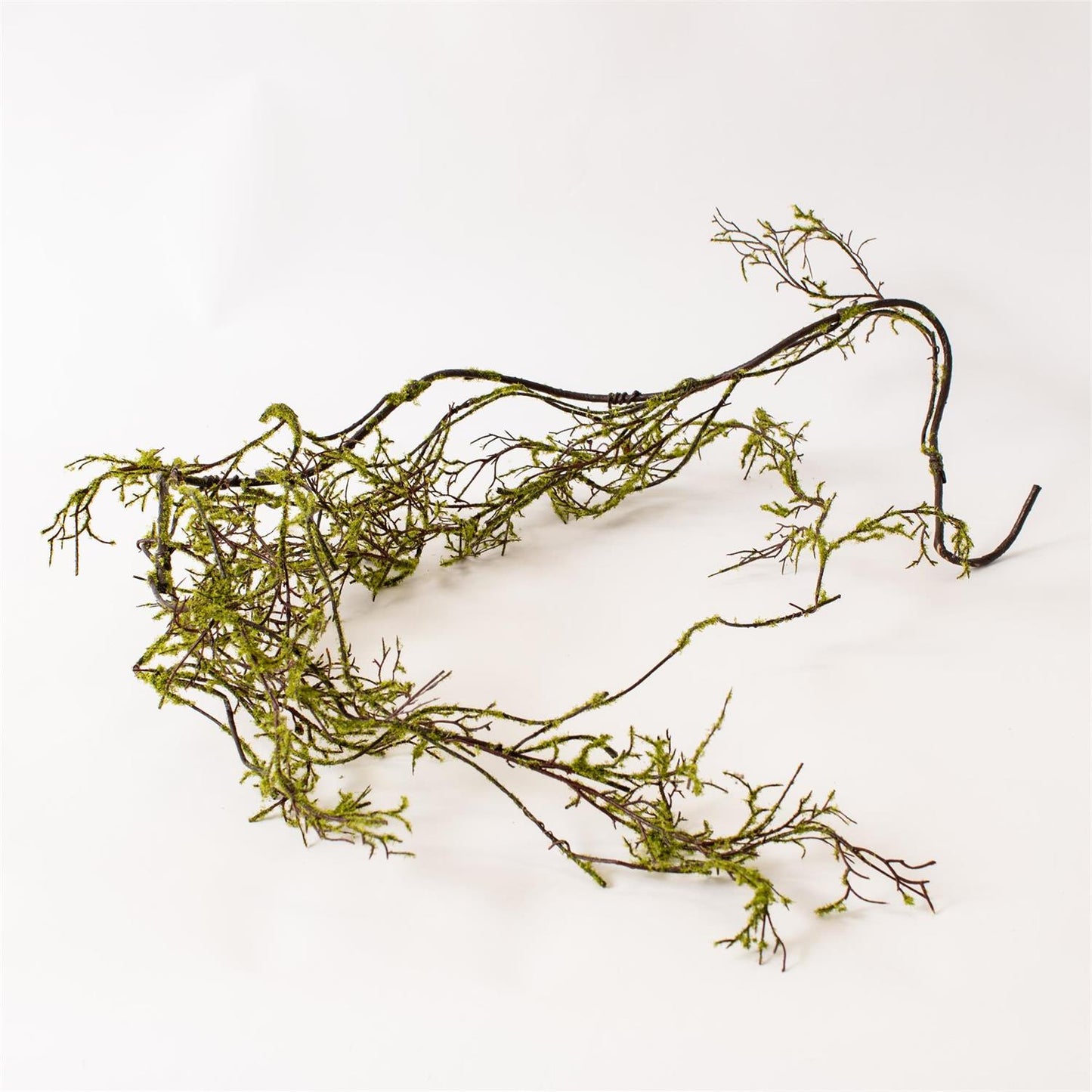 Fine Moss Vine With Leaves Garland