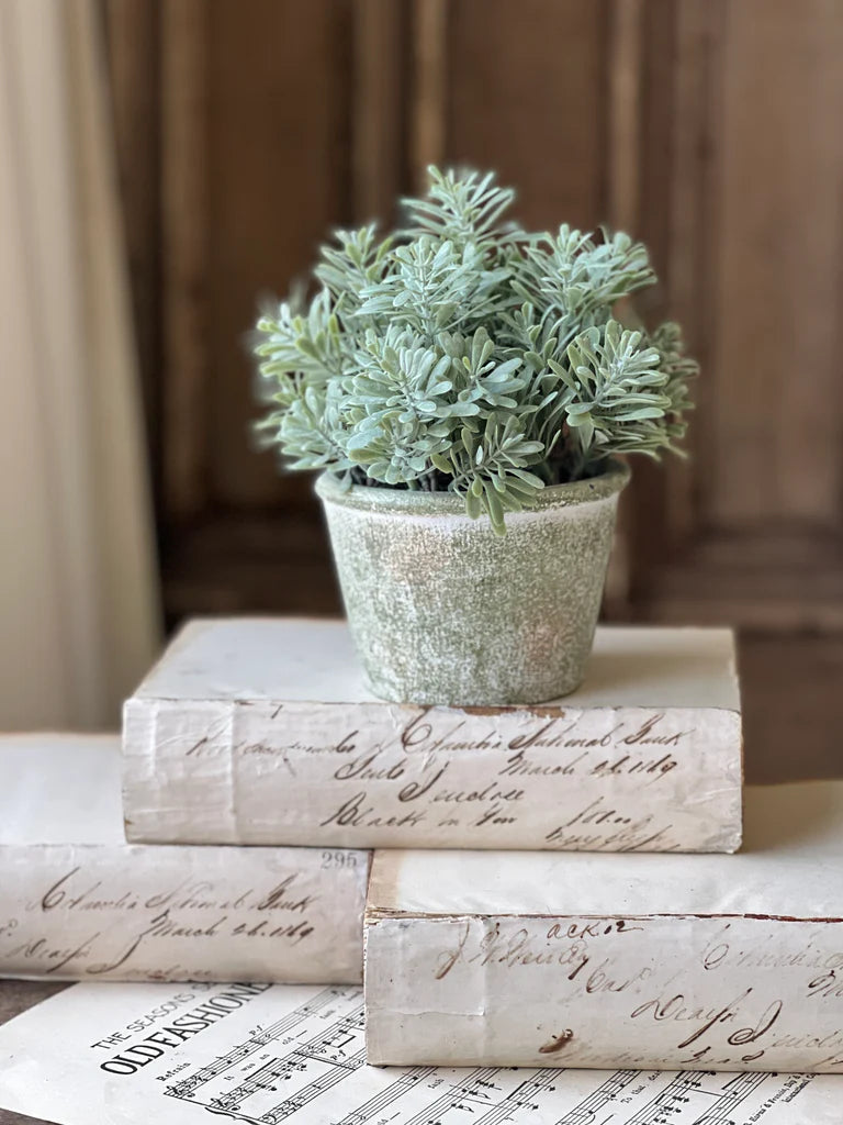 Belmont Pot | Purslane | 8"