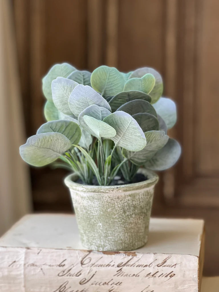 Belmont Pot | Silver | 8"