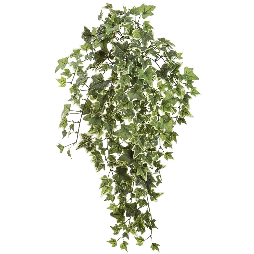 Mini English Ivy Hanging Bush | 23"