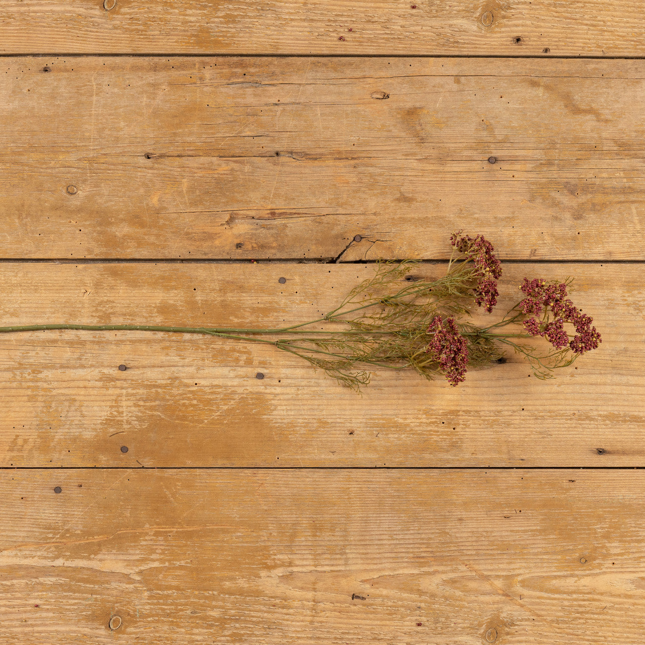 Burgundy Queen Ann Lace Spray | 28"