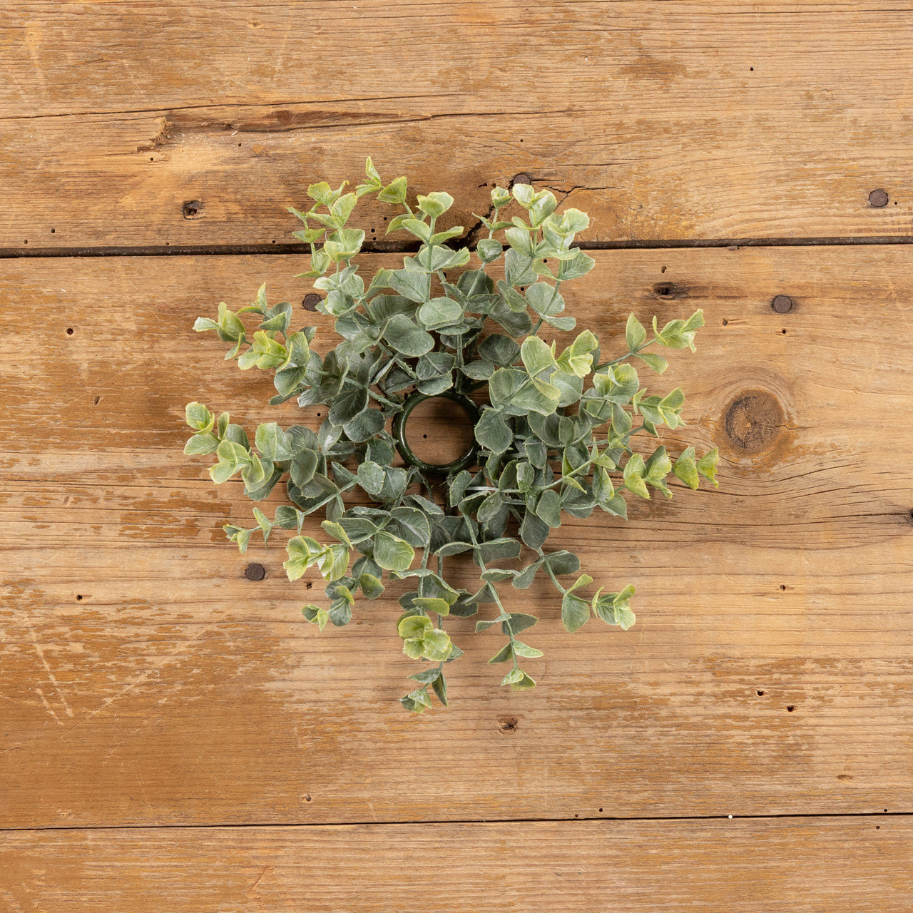 Eucalyptus Taper Candle Ring