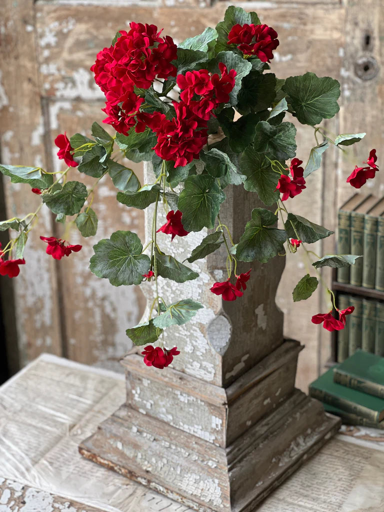 Geranium Hanging Bush | 22"