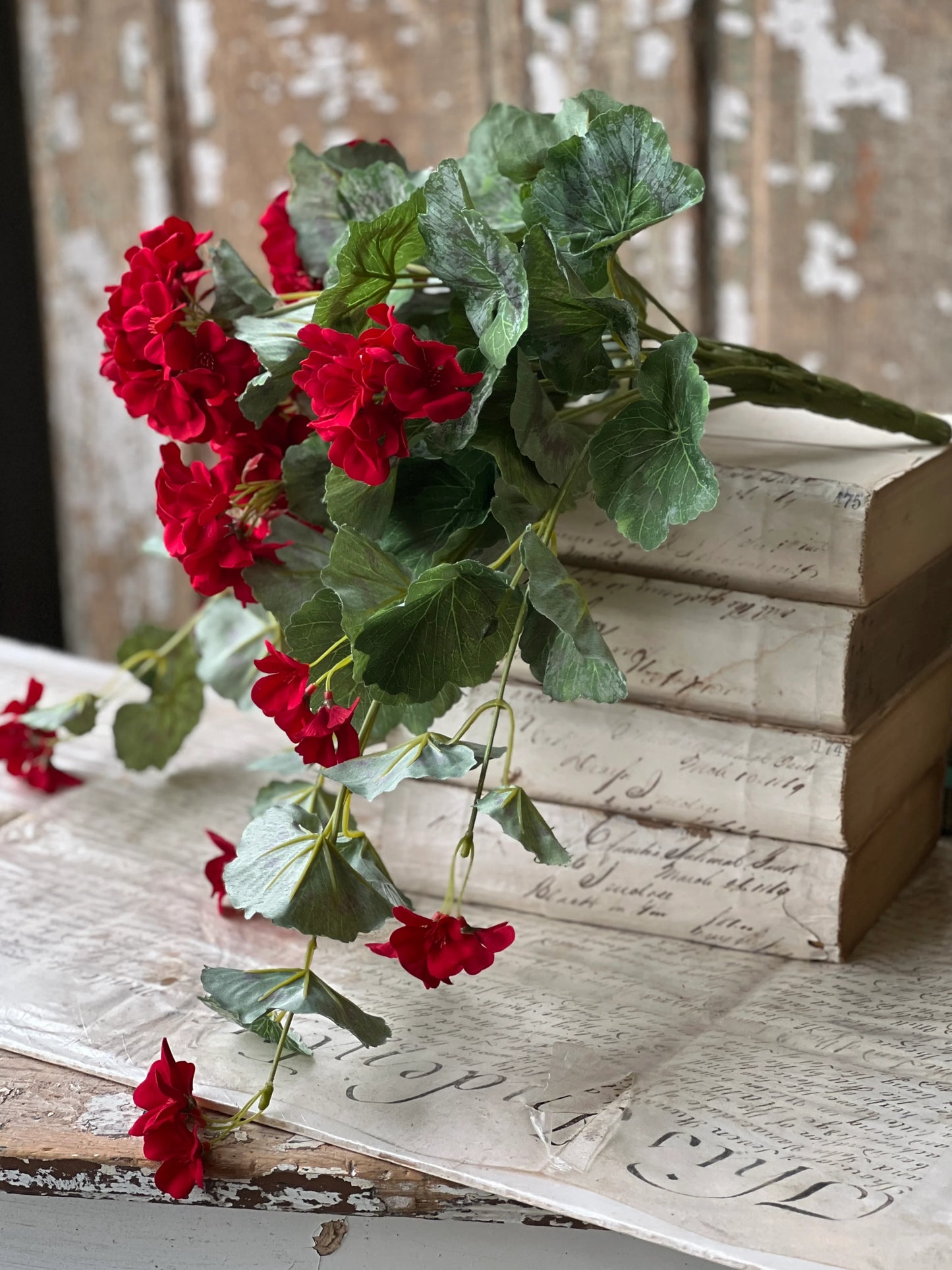 Geranium Hanging Bush | 22"