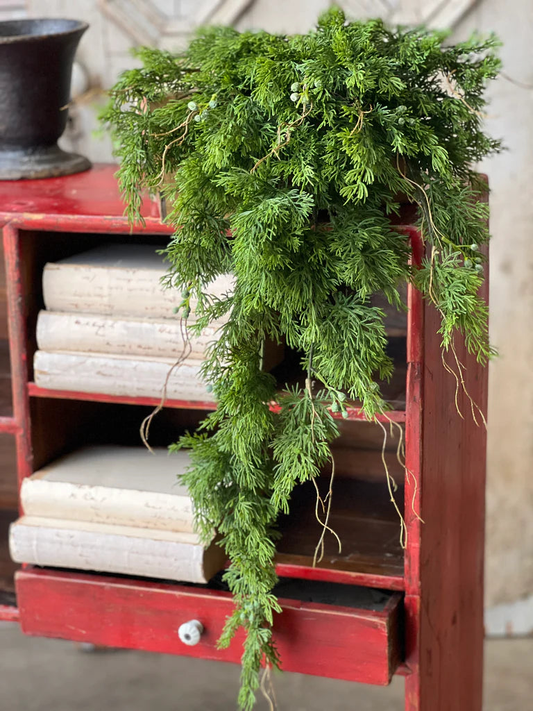 Dripping Cedar Hanging | 34"