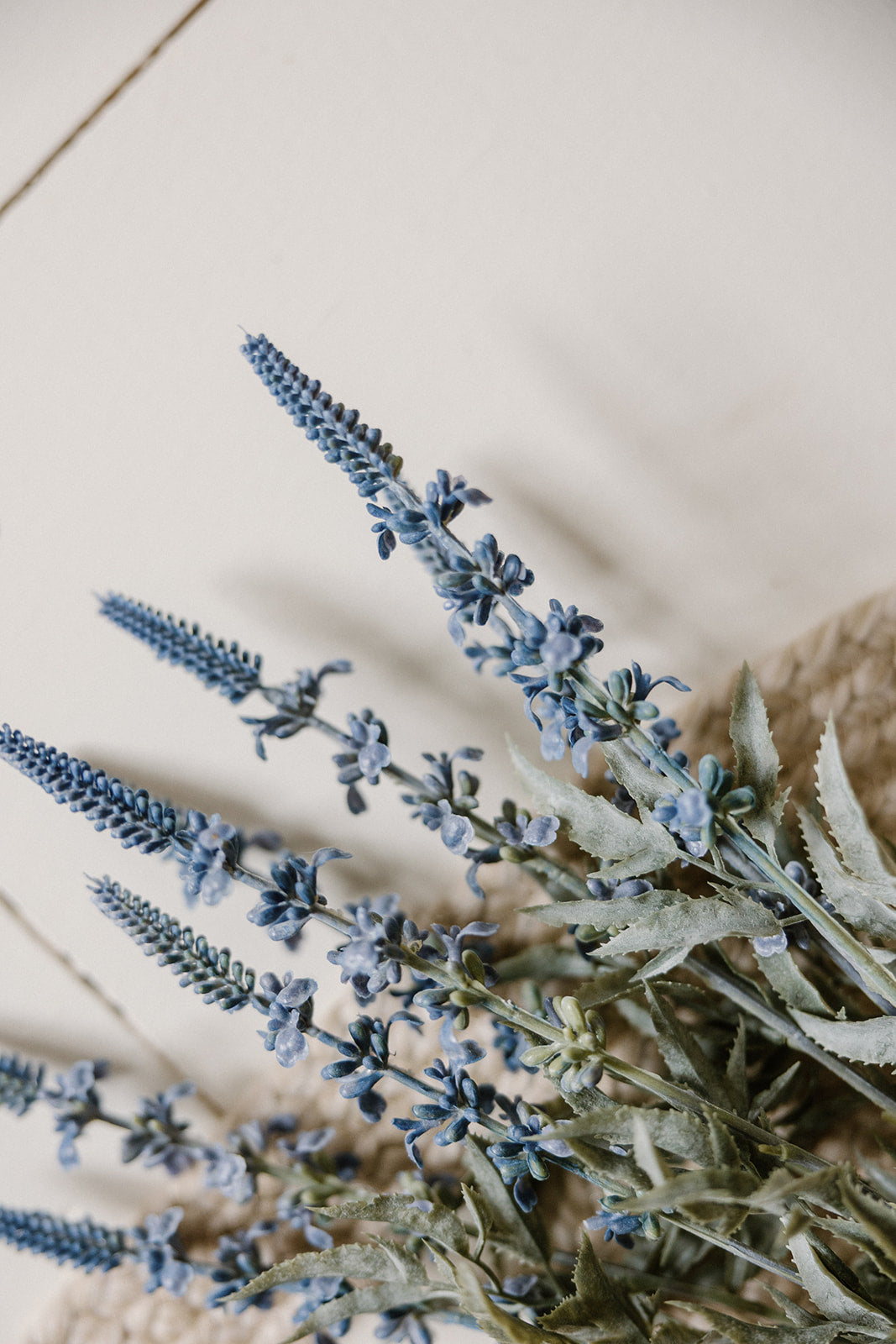 Lavender Bush