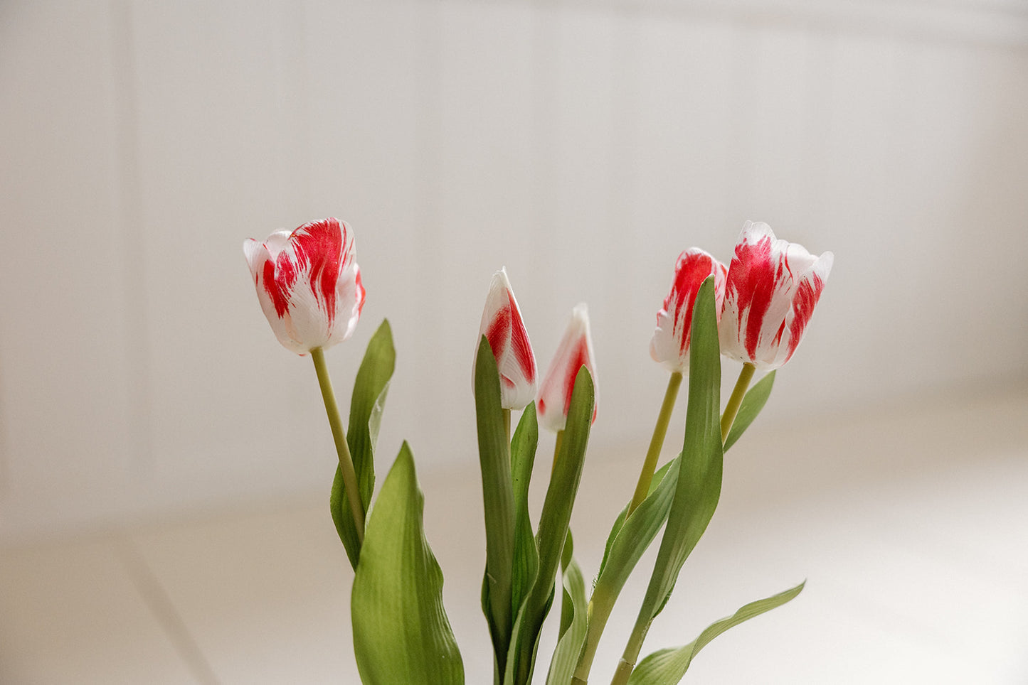 Real Touch Tulip | Red + White | 22.8"