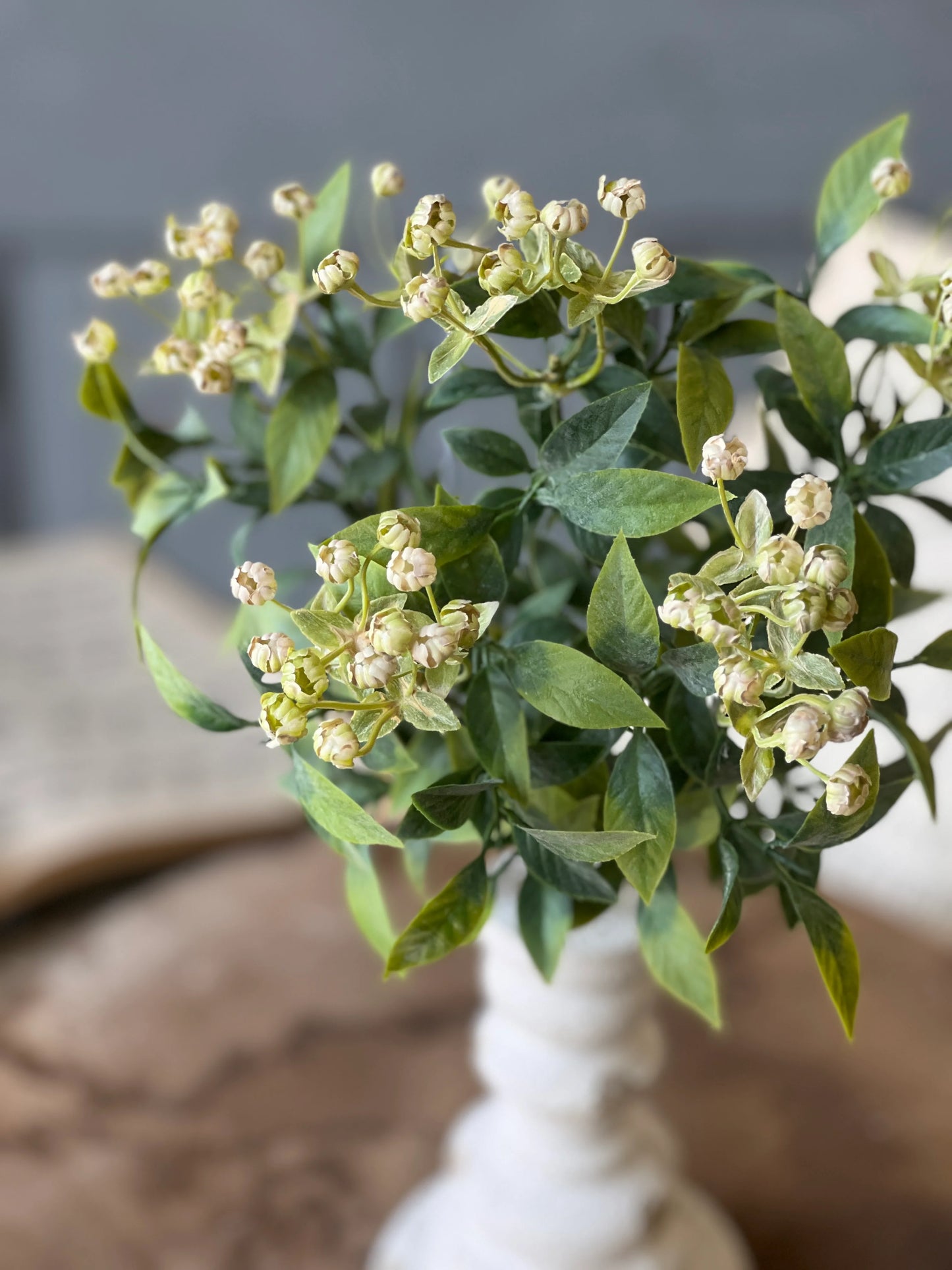 Lullaby Buds Bush | 14"