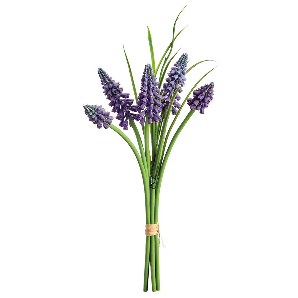 Muscari Bundle | 10"