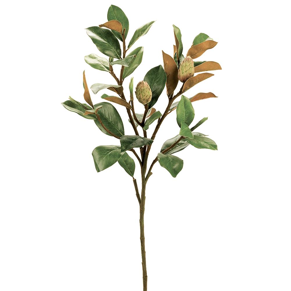 Magnolia Bud Spray | 37"