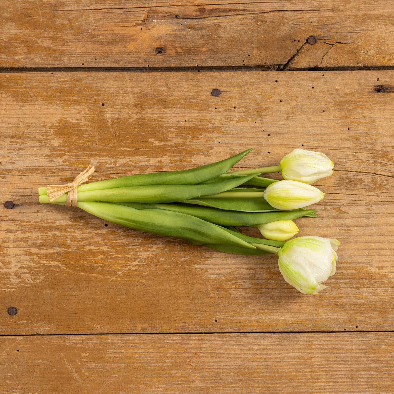 Green & White Tulip Bush | 9.5"