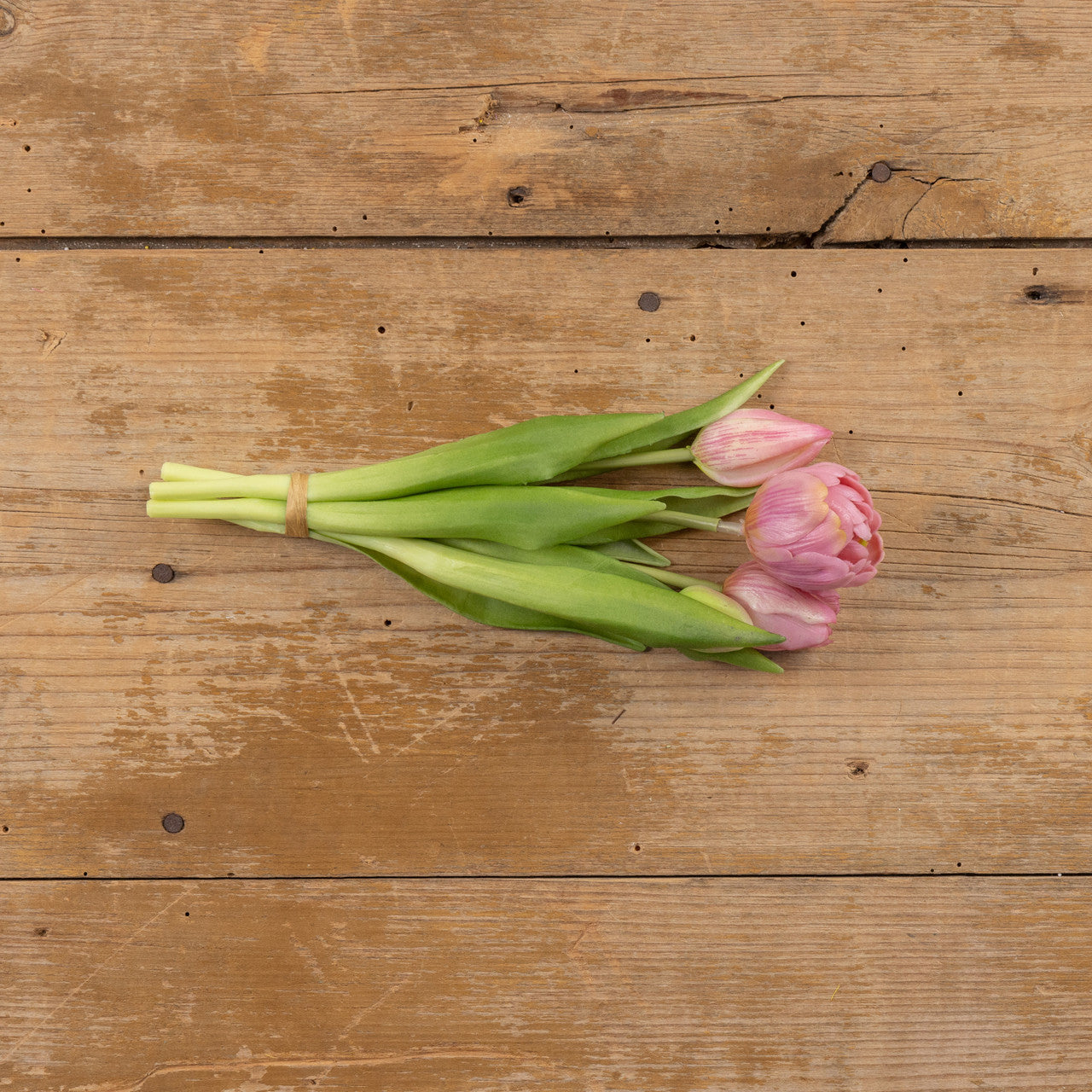 Light Purple Tulip Bush | 9.5"