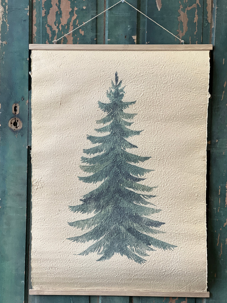 Hanging Scroll - Norway Spruce