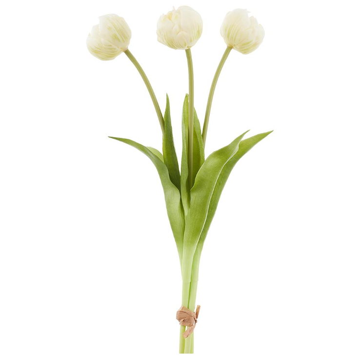 Tulip Bundle | 17"