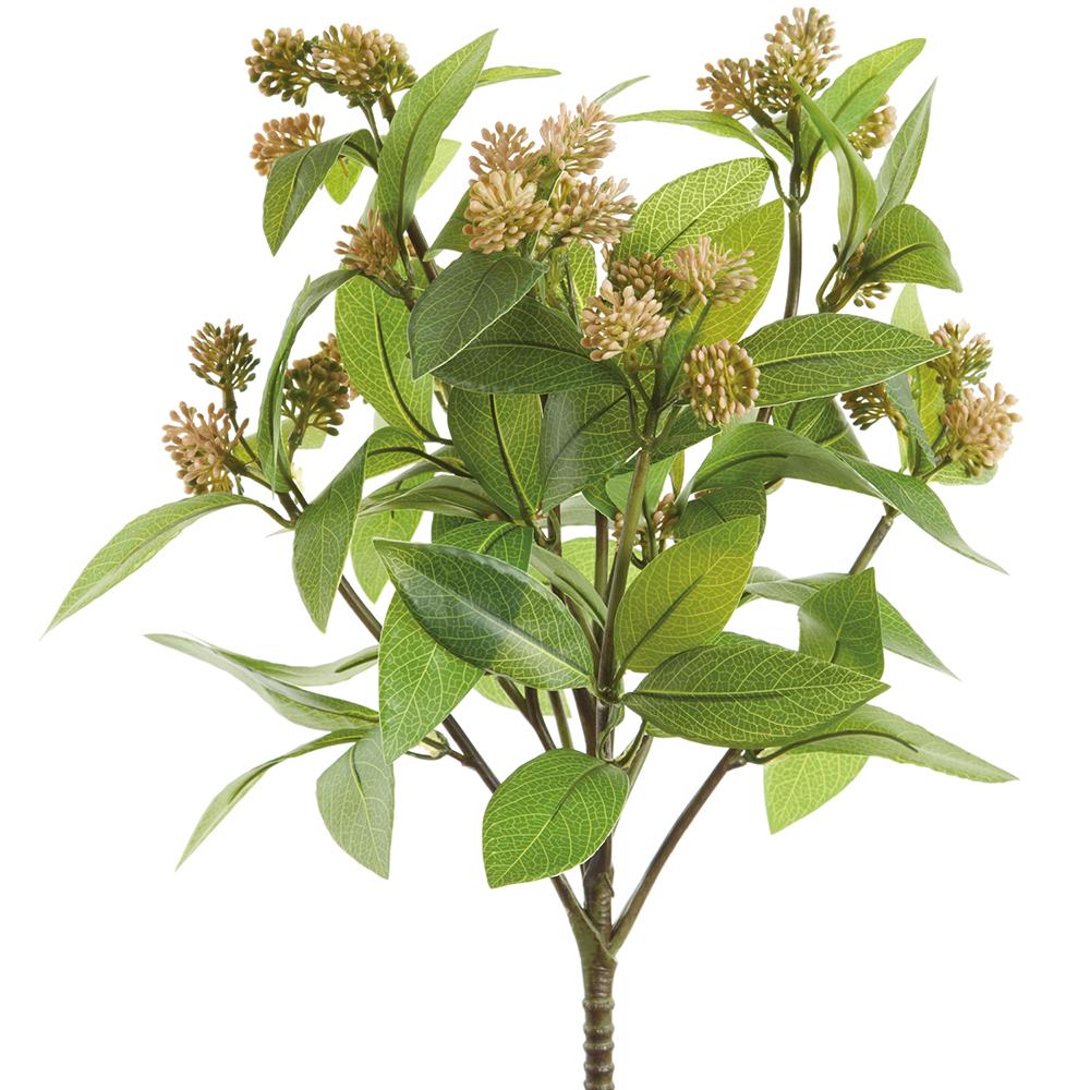 Pink Soft Sedum | 16"