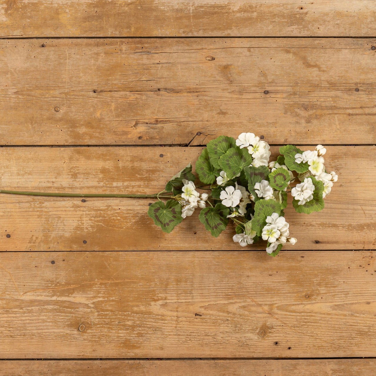 White Geranium Spray | 30"