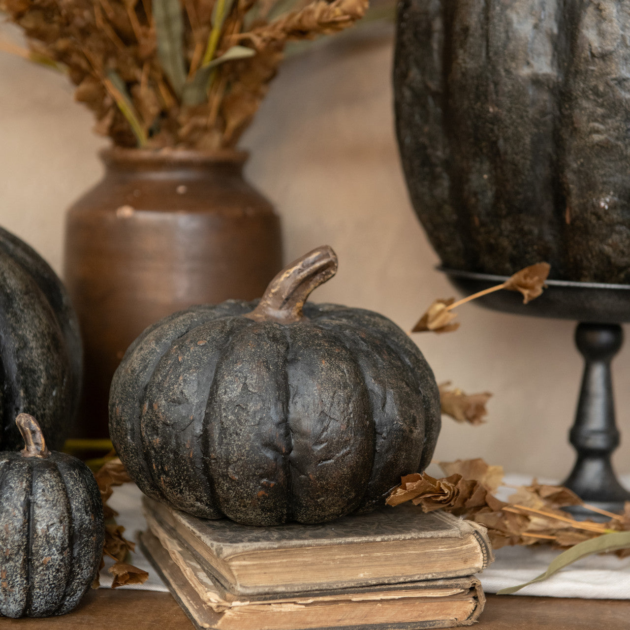 Black Short Pumpkin 5.75"