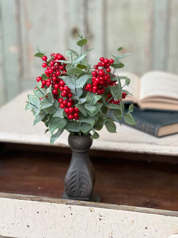 Yuletide Eucalyptus Bush