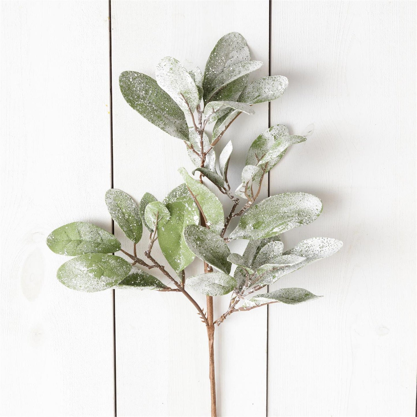 Frosted Lambs Ear Pick | 18"