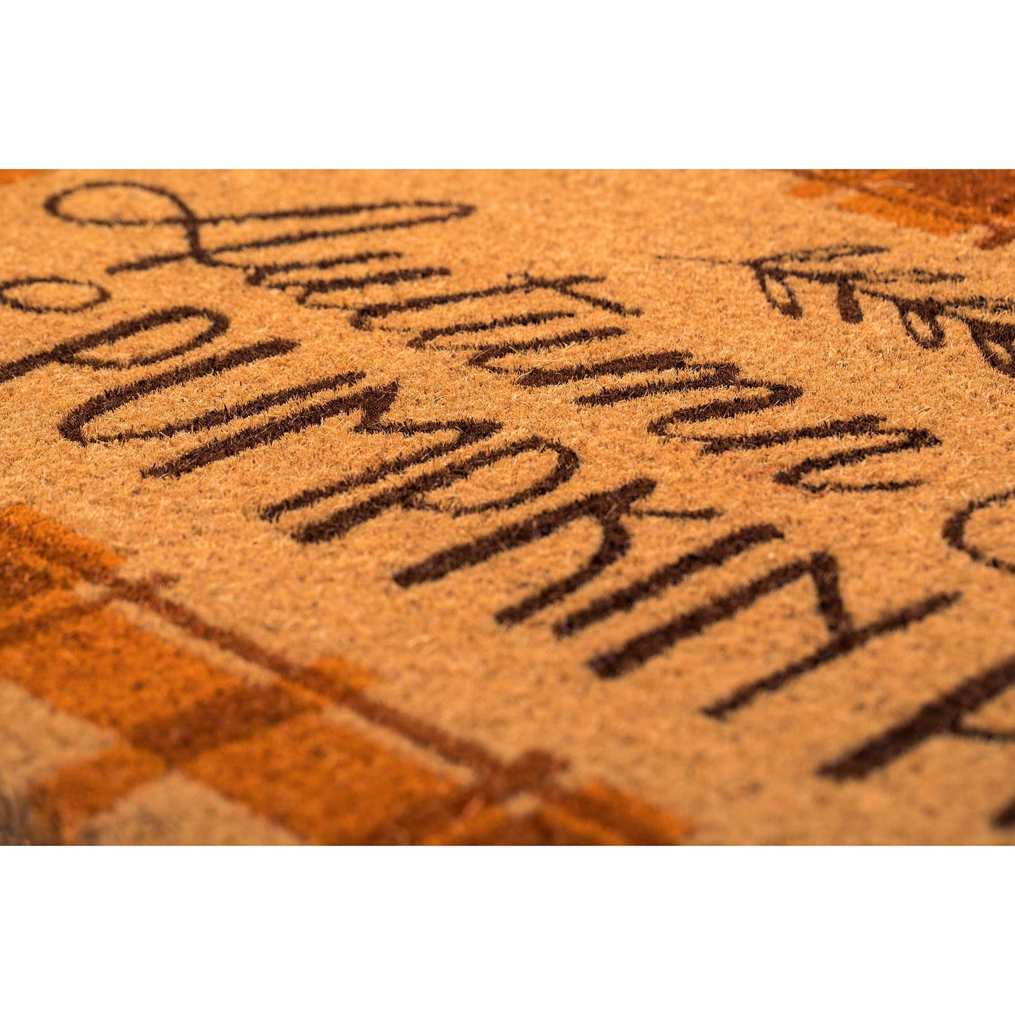 Autumn Skies Coir Doormat