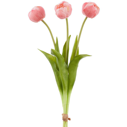 Tulip Bundle | 17"