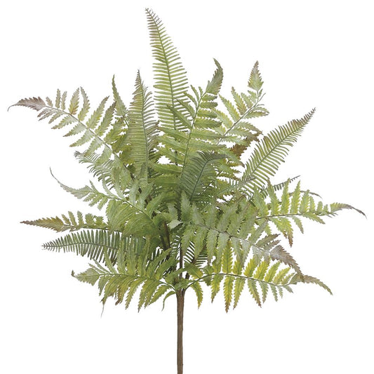 Mixed Fern Bush | 18"