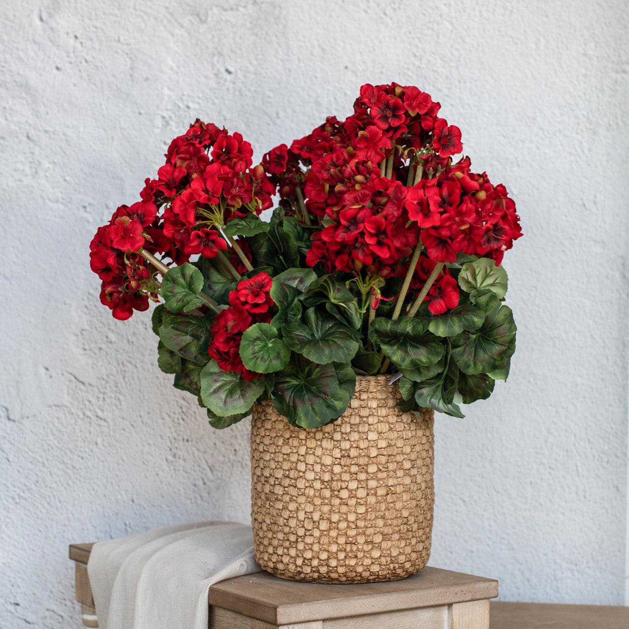Red Geranium Bush | 19.5"