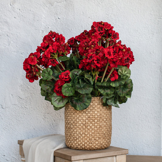 Red Geranium Bush | 19.5"