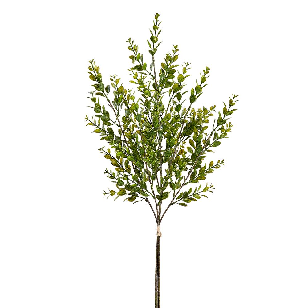 Boxwood Bundle | 27"