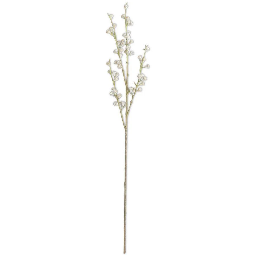 Powdered Tan Eucalyptus Pod Stem | 35"