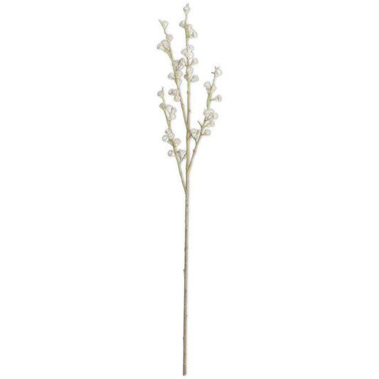 Powdered Tan Eucalyptus Pod Stem | 35"