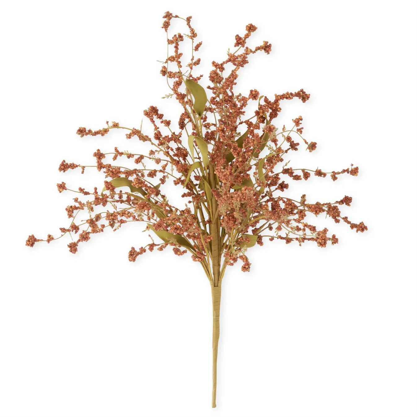 Orange Rust Seed Berry Bush | 21 inch