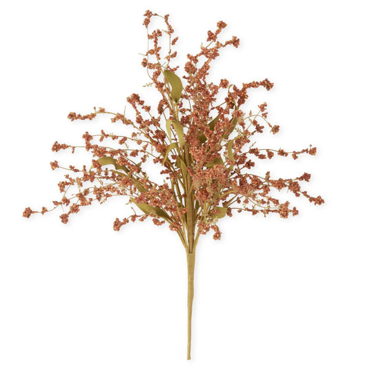 Orange Rust Seed Berry Bush | 21 inch