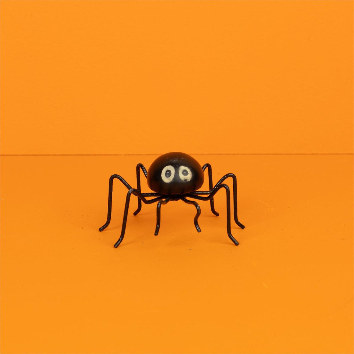 Night Glow Eyed Spider