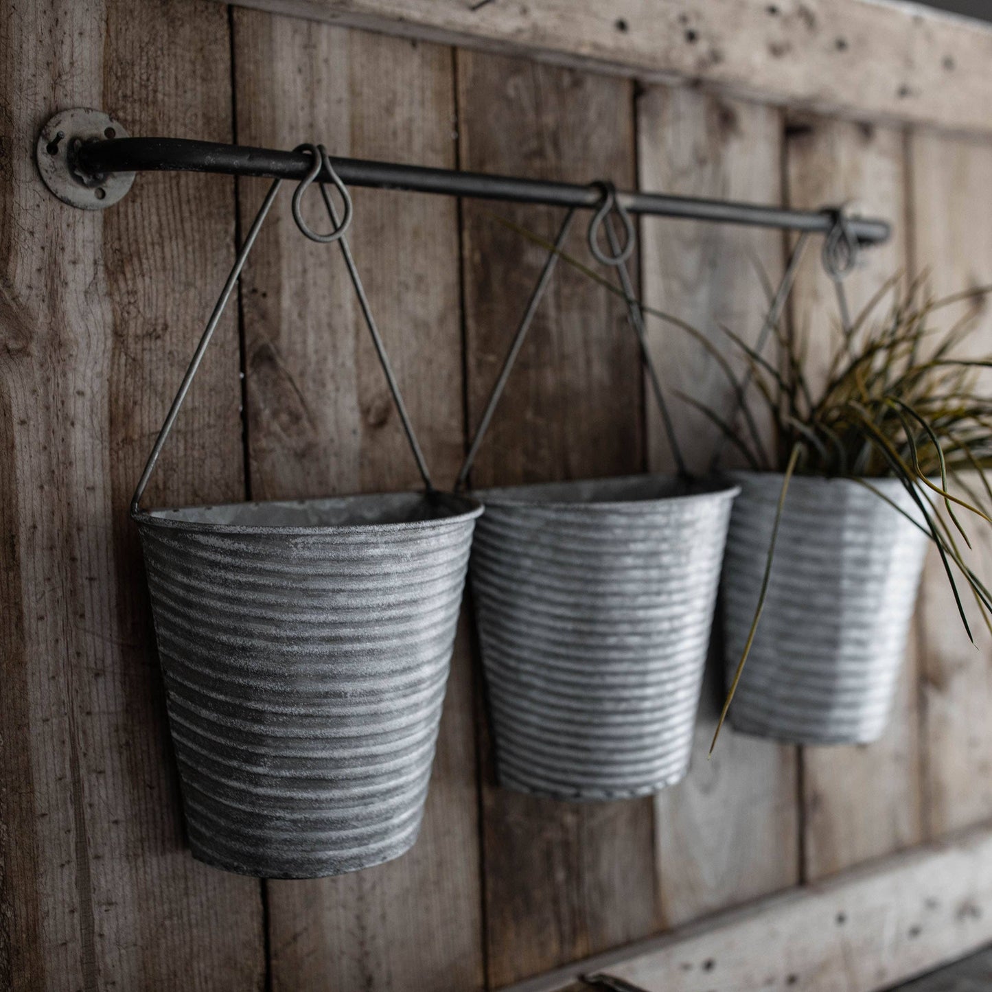 Dixie 3 Pot Wall Planter