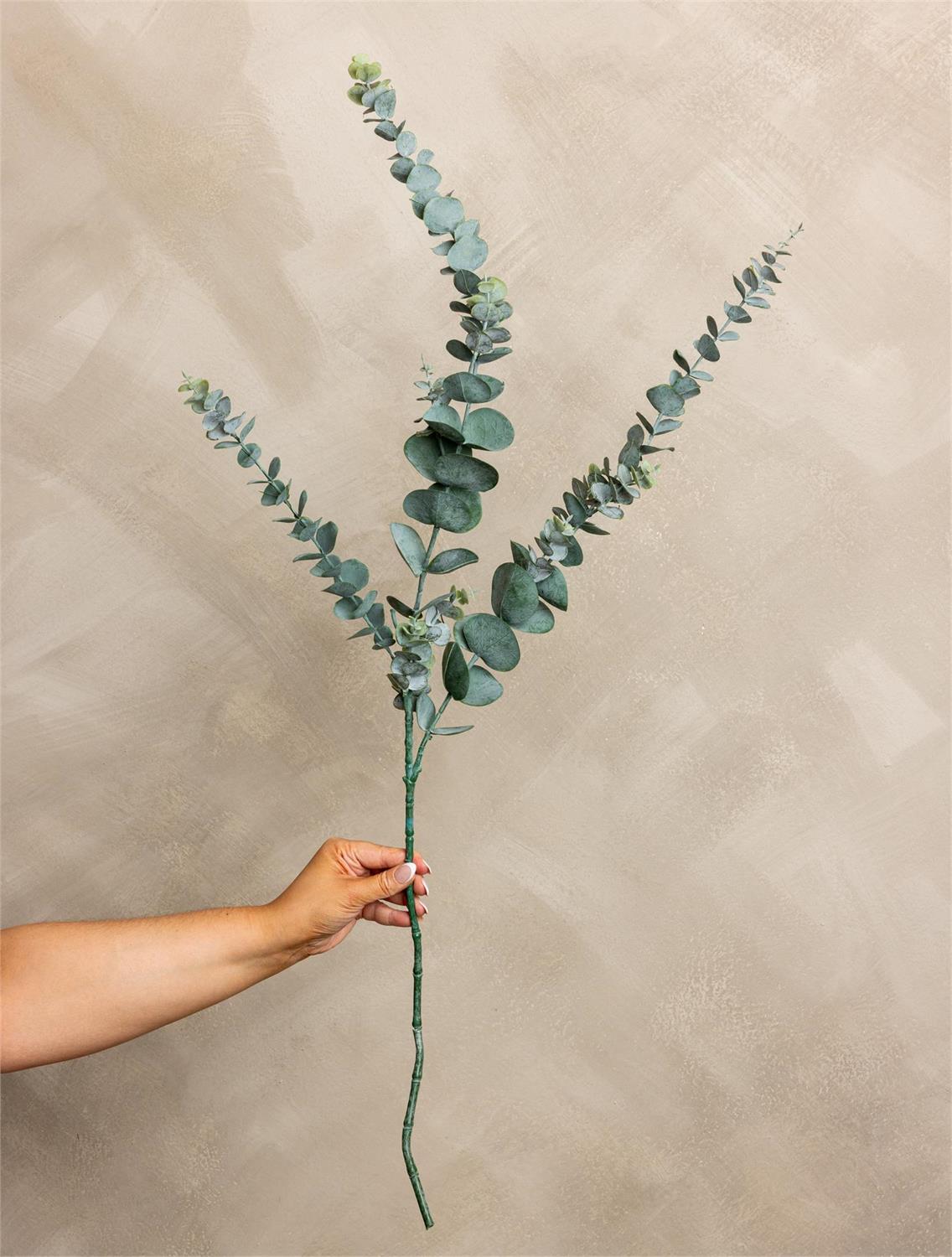 Frosted Eucalyptus Stem