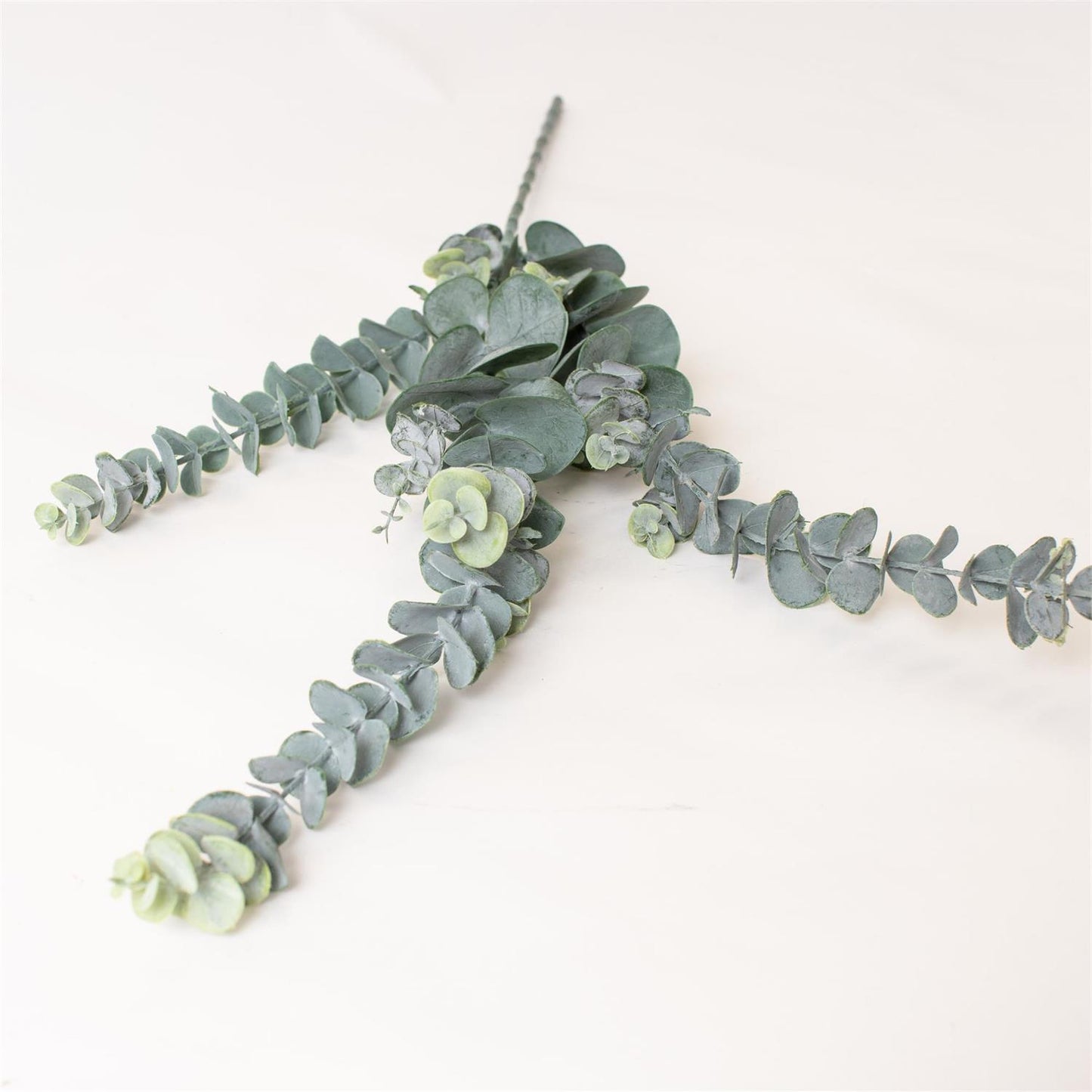 Frosted Eucalyptus Stem