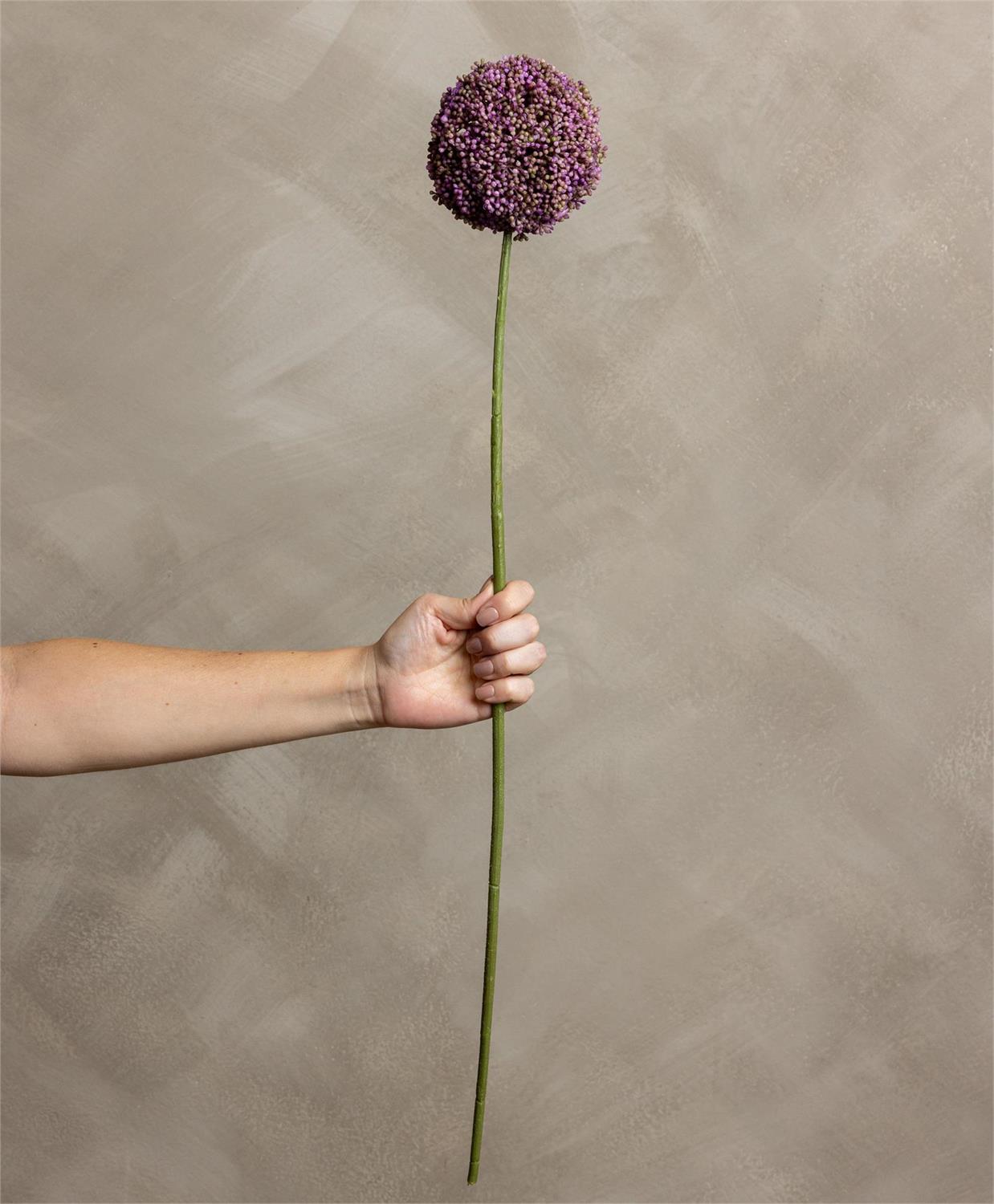 Allium Lavender Stem