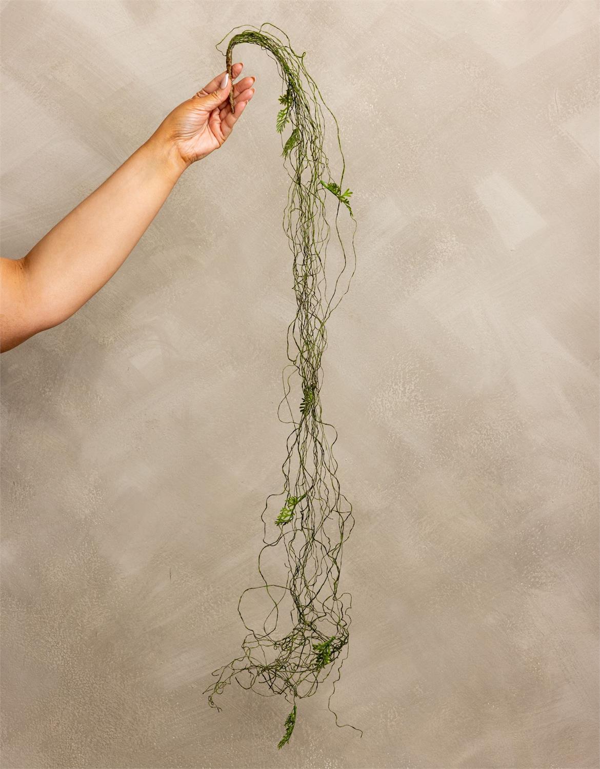 Fine Moss Vine With Leaves Garland