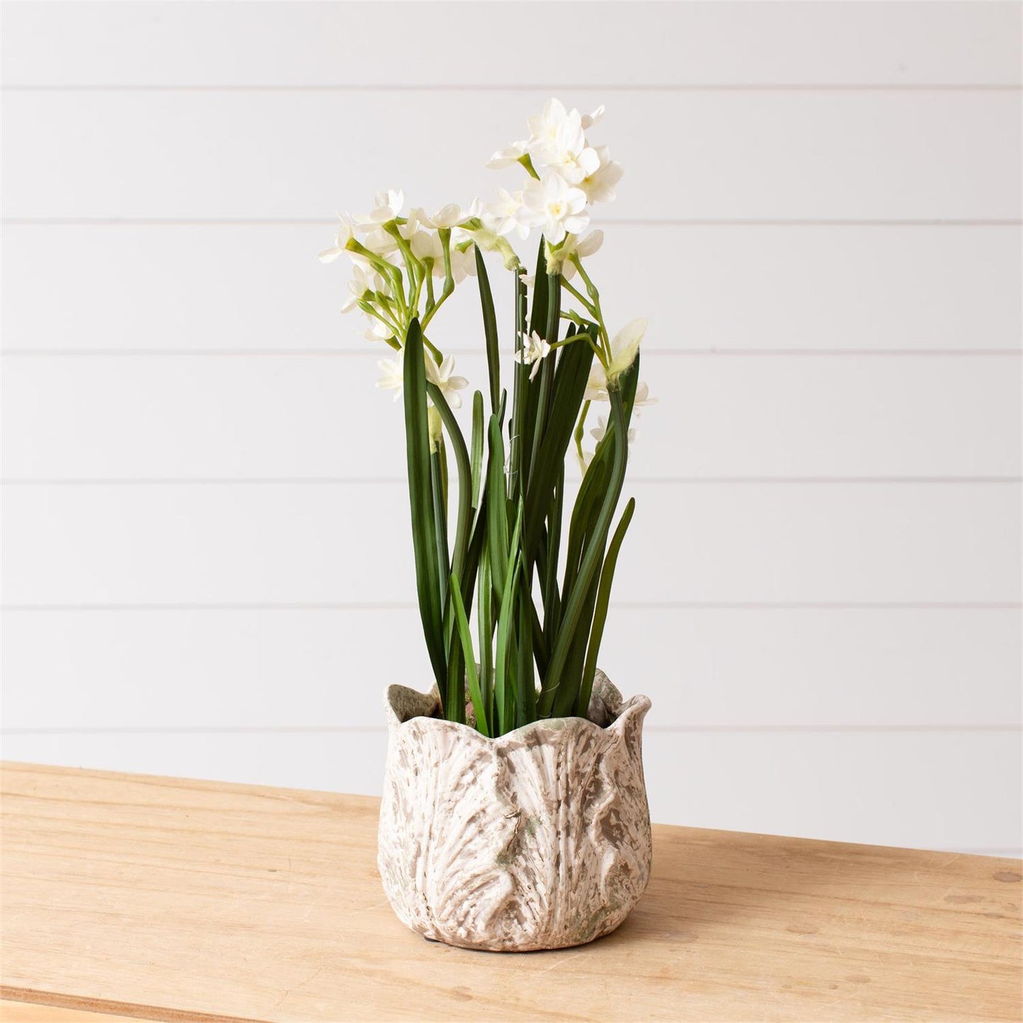 Distressed White Leaf Design Planter