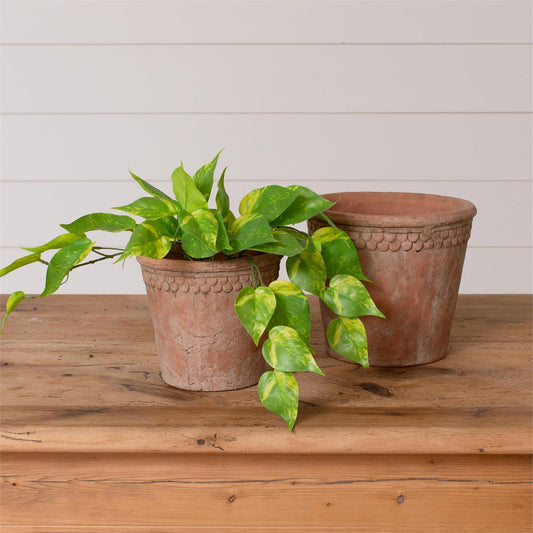 French Terracotta Planter