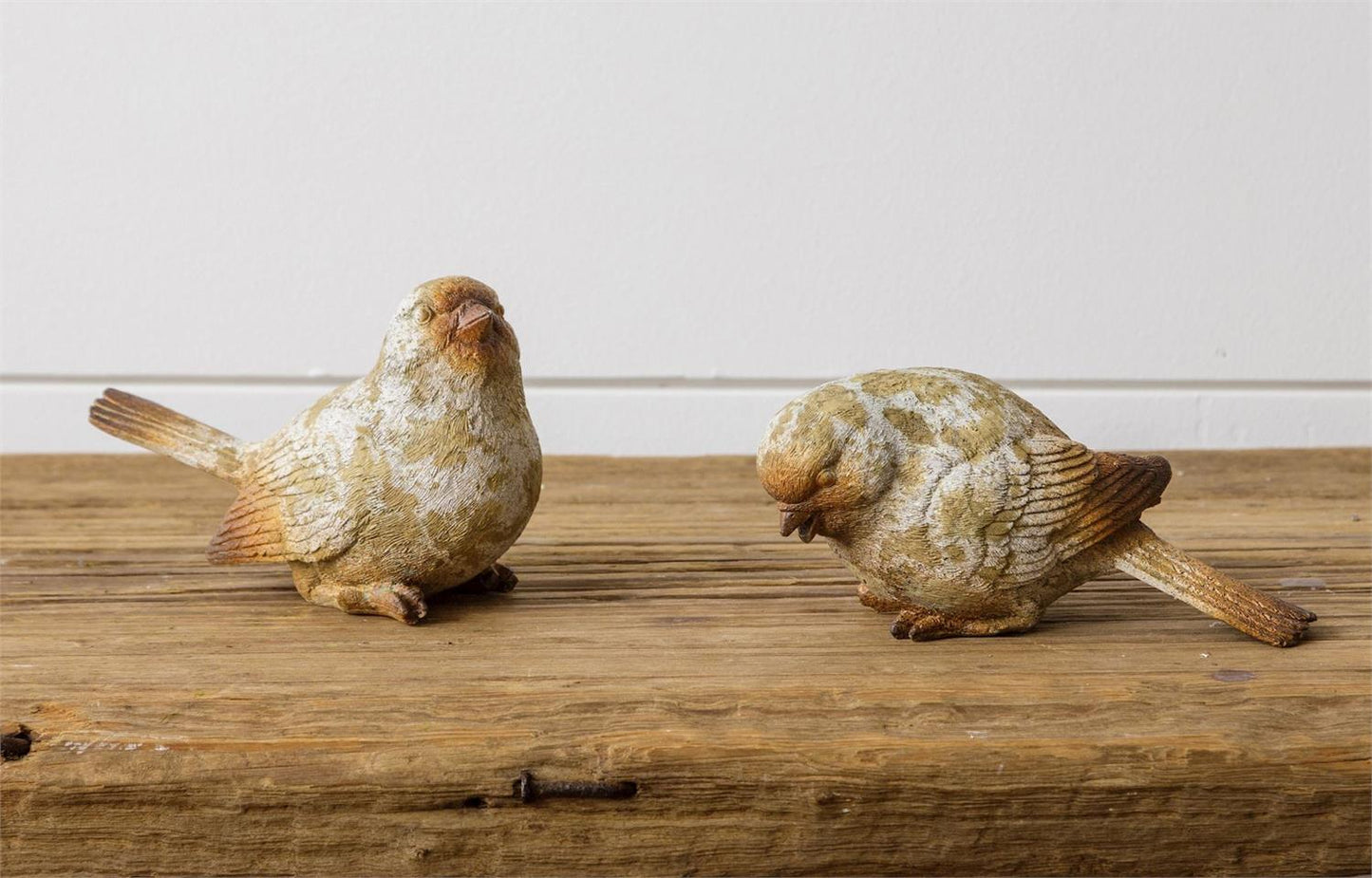 Natural Weathered Birds
