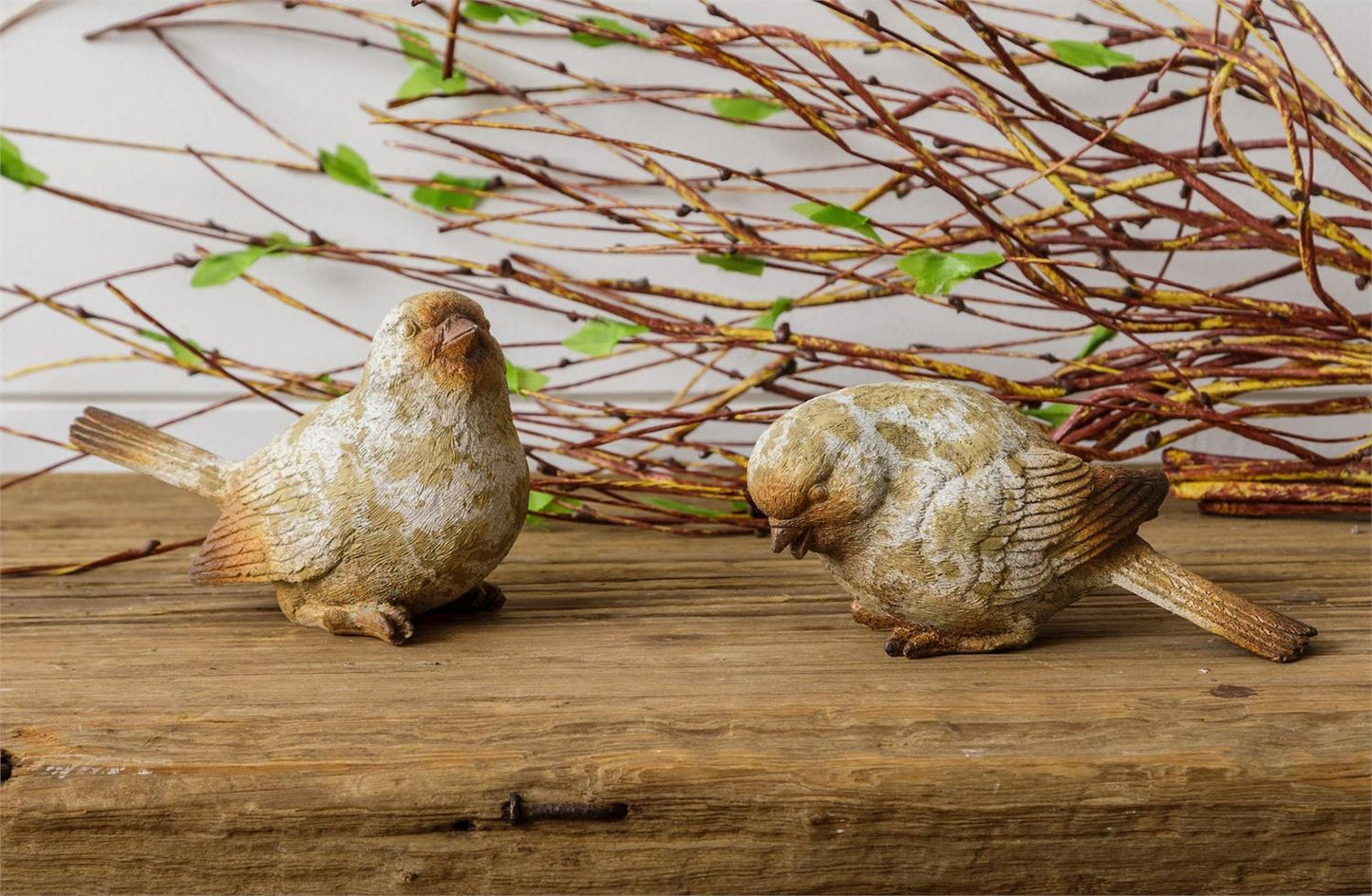 Natural Weathered Birds
