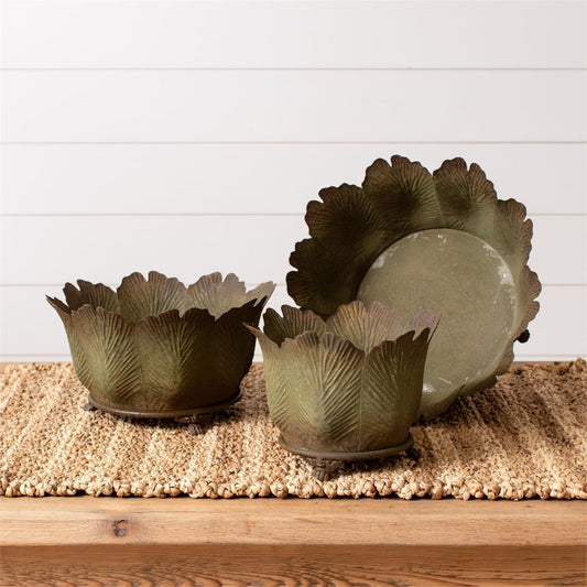Distressed Dark Green Leaves Planter